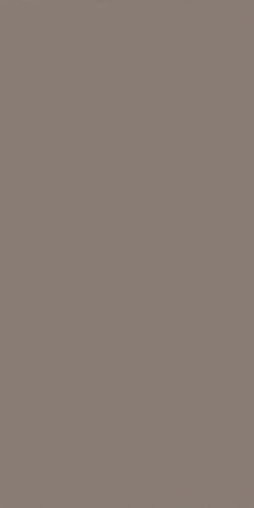 Matte Grey frameless / european cabinet door style