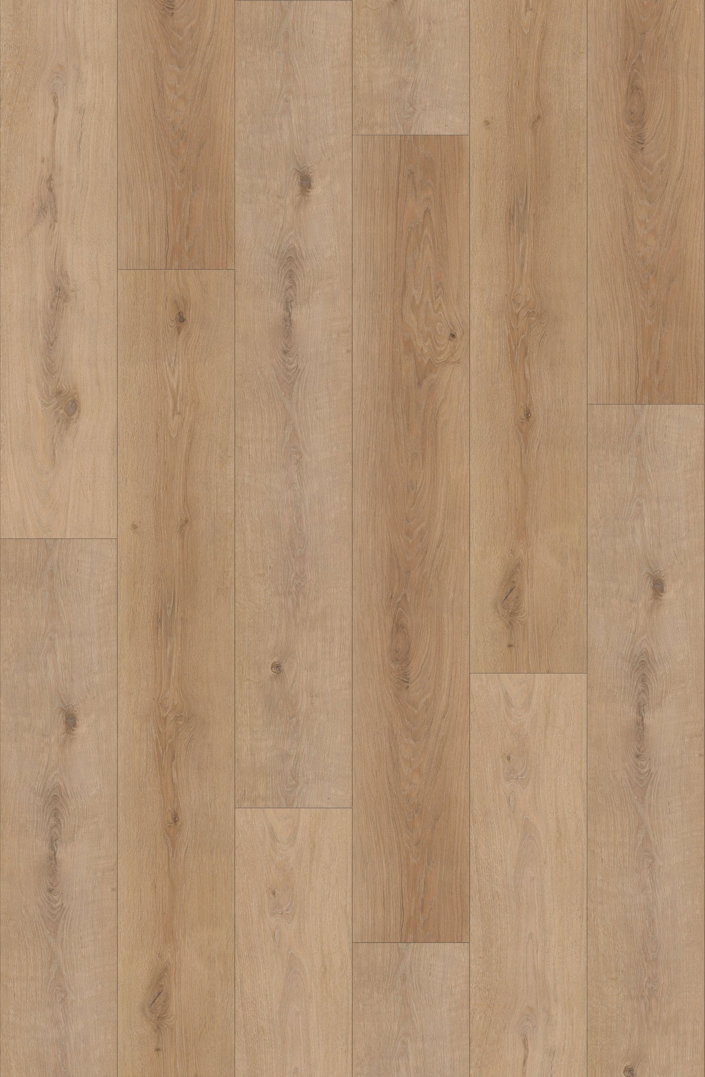 Vanderbilt luxury vinyl plank flooring, photo 2